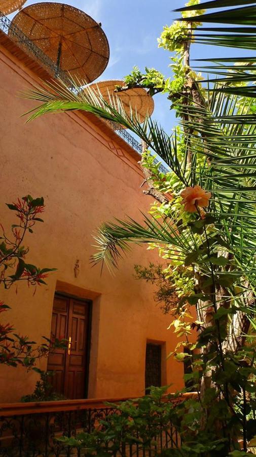 Riad Timadrouine Timatraouine Exteriér fotografie